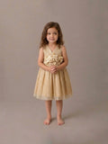 Vestido Amanecer Beige Bebe
